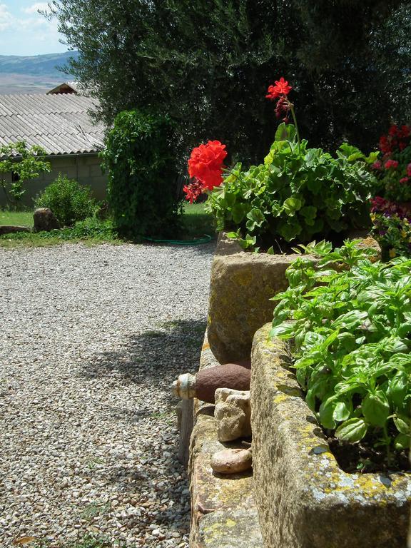 Agriturismo Riposati Monticchiello Room photo