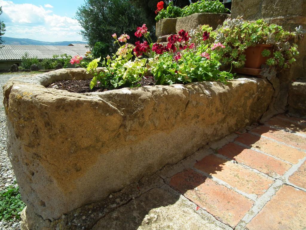 Agriturismo Riposati Monticchiello Room photo