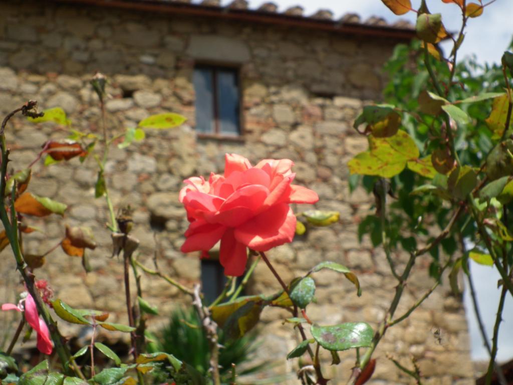 Agriturismo Riposati Monticchiello Exterior photo